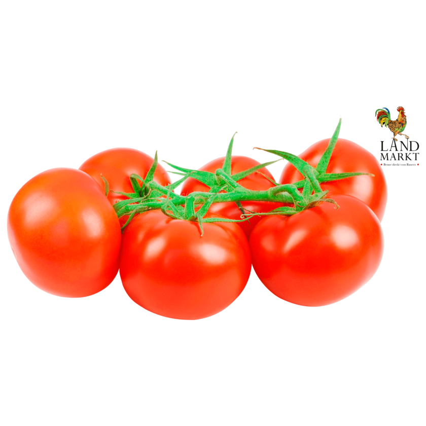 LANDMARKT Bio Tomaten aus der Region 500g